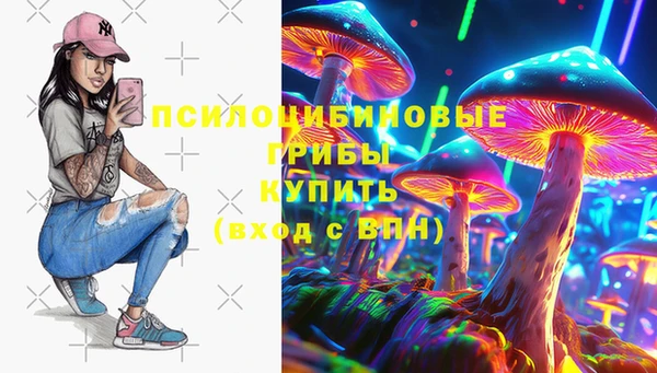apvp Балахна