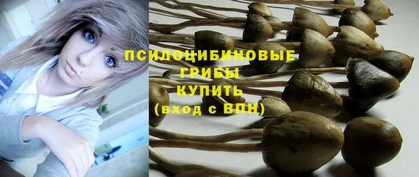 apvp Балахна