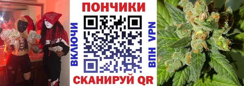 Шишки марихуана гибрид  купить  сайты  Тихорецк 